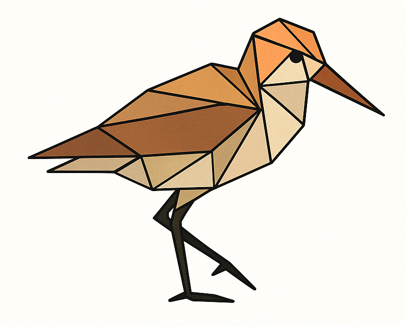 Sandpiper